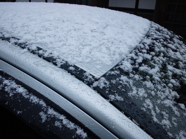 初雪